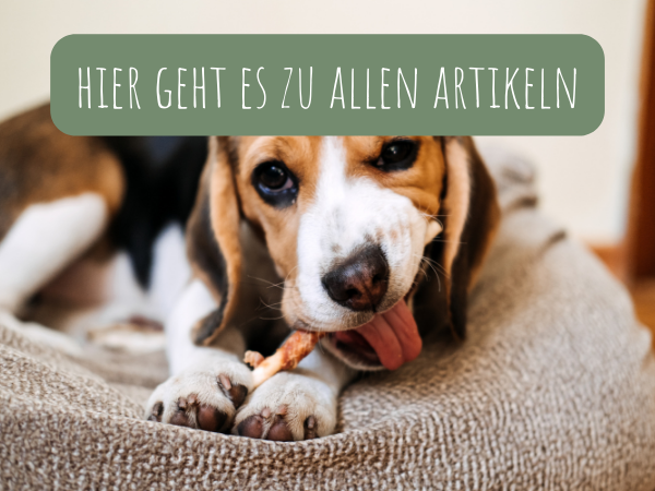Kauwelt alle Artikel