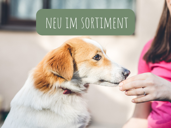 Kauwelt neue Artikel